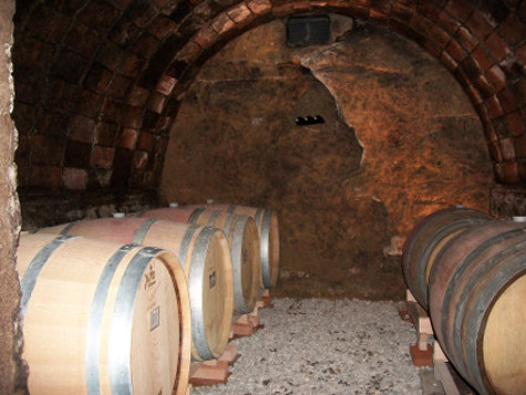 Innesto grotta nov 2010